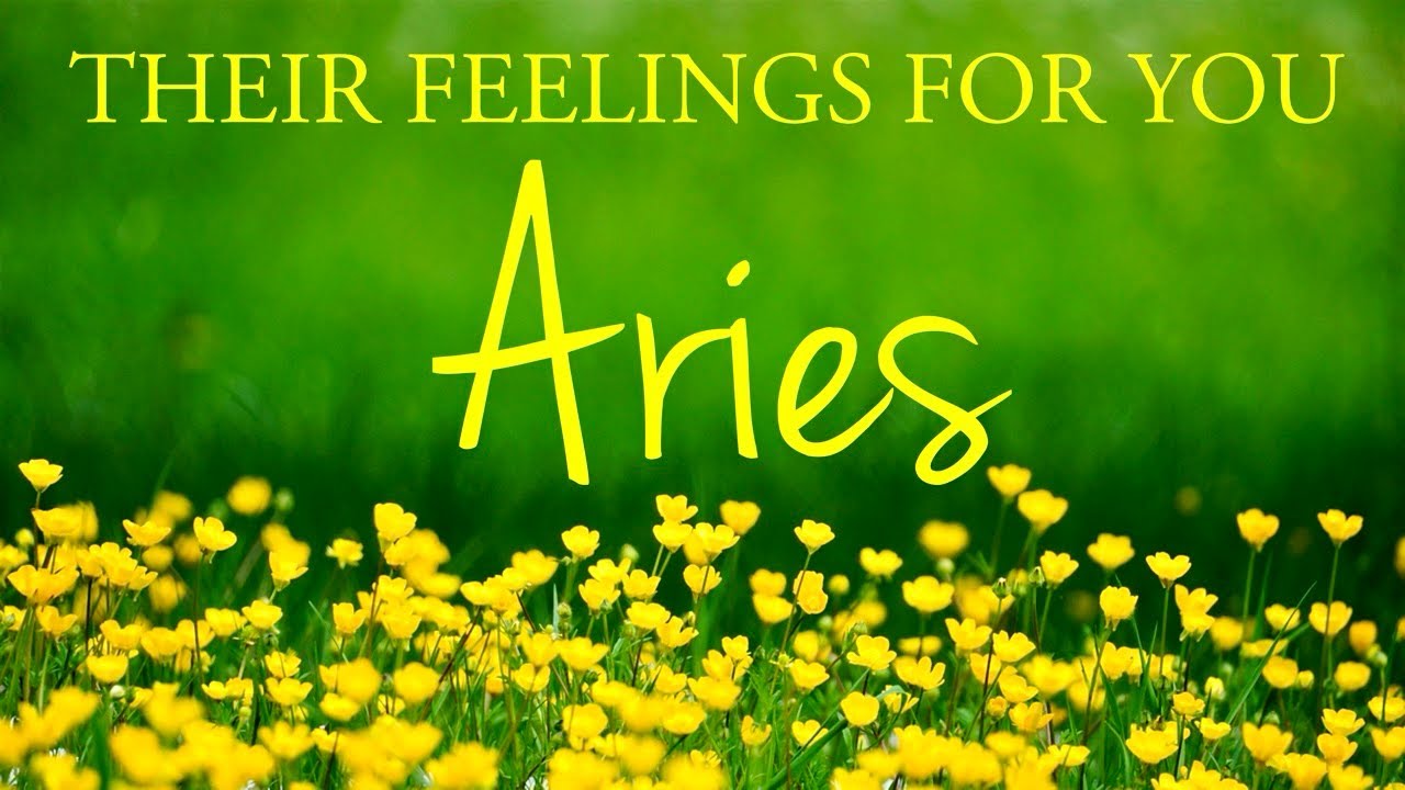 ARIES love tarot ♈️ Someone Who Doesn’t Know What They Truly Want 😵‍💫 You Should Hear This Aries