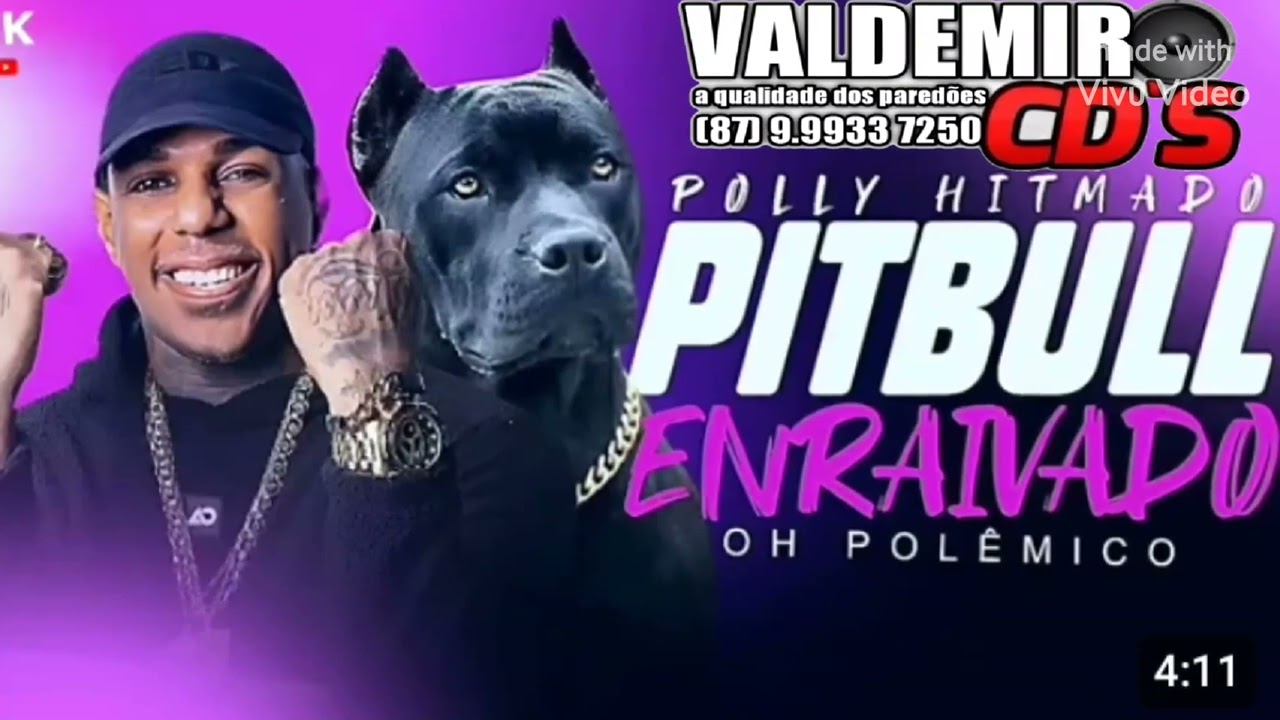 Pitbull enraivado