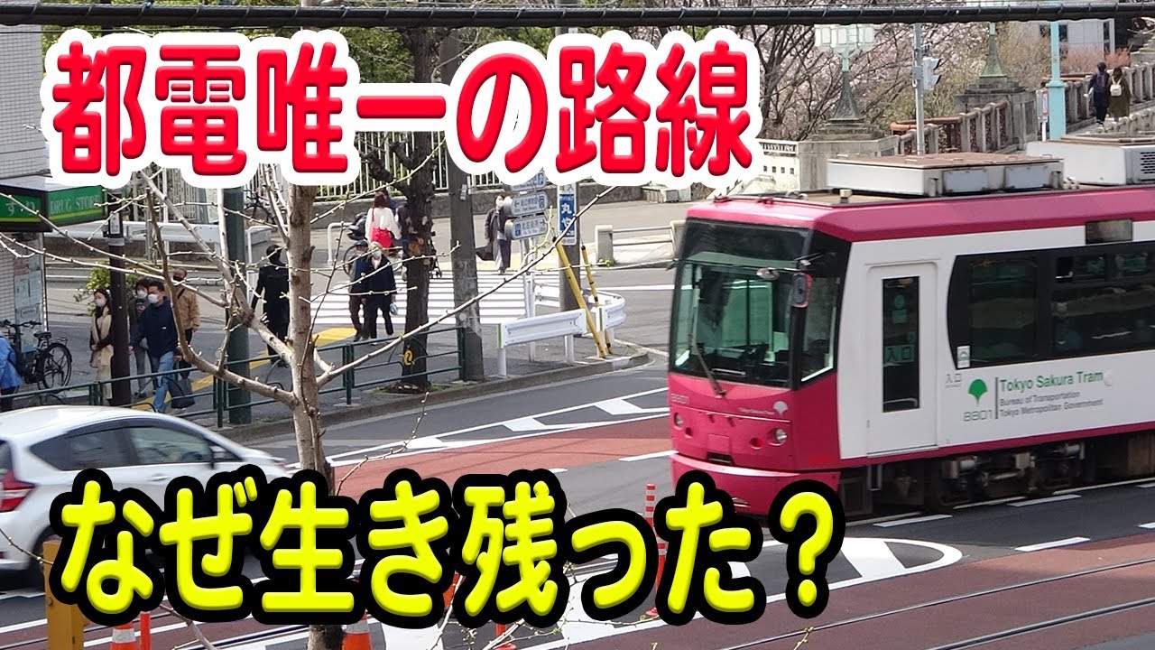 なぜ、都電荒川線は唯一の都電として生き残った？理由などを解説【路面電車/東京都/都電荒川線/東京さくらトラム】