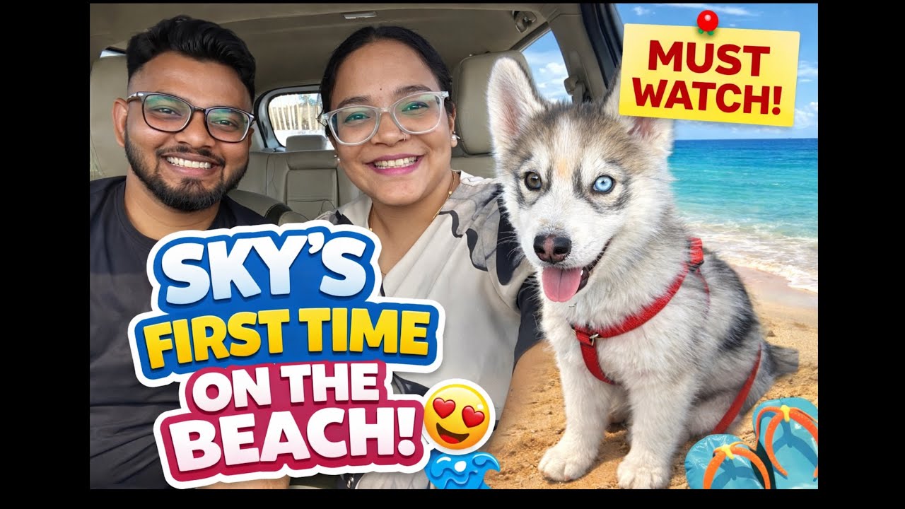 	POV: Our Sky’s First Beach Day 🐶🌊