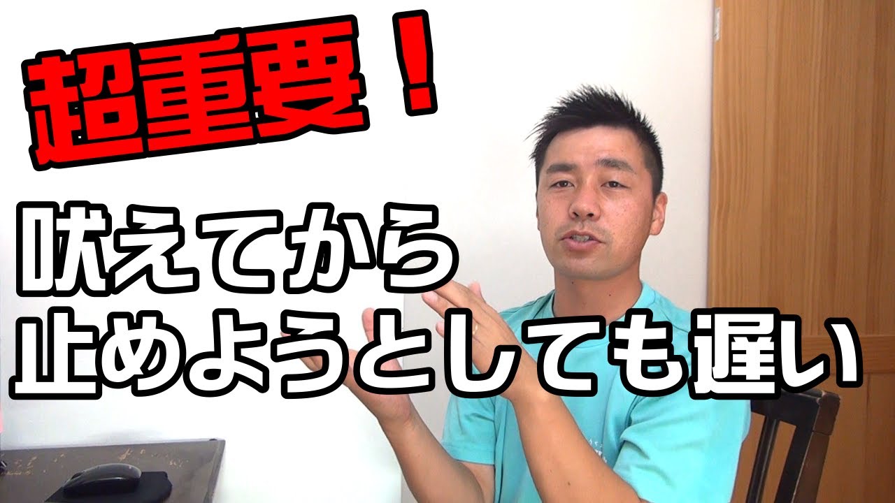 【犬　吠える】吠えた後よりも吠える前に対処する事が大切！〖犬のしつけ幼稚園＠神戸〗byかずま先生