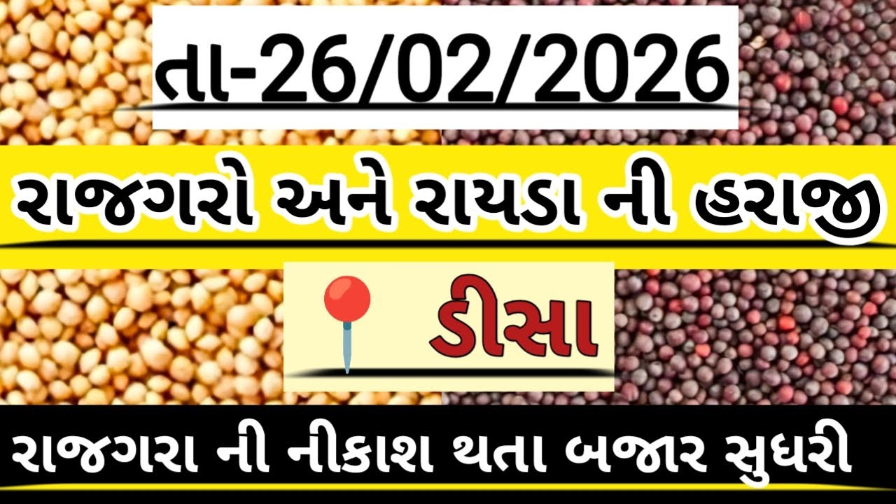 રાજગરો અને રાયડા ની હરાજી//Deesa rajgaro and raida ni haraji//अनाज मंडी #deesa #farming #new #viral