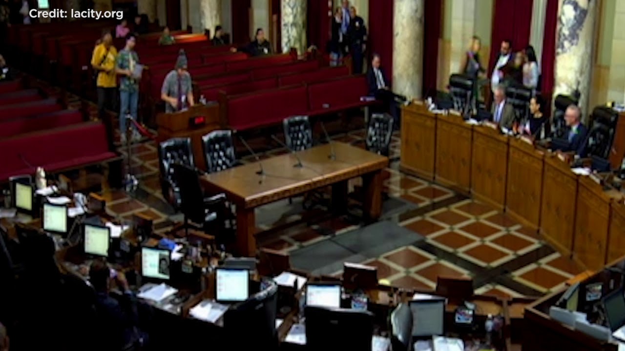 'Surfer Bro' hilariously trolls LA City Council with speech defending house parties