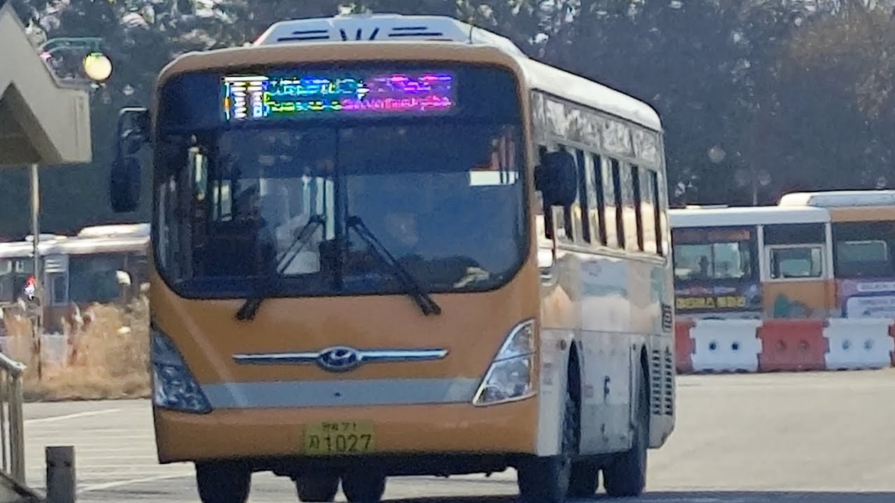 군산 군산여객 11번 Hyundai NSAC F/L CNG(현대 뉴슈퍼에어로시티 F/L CNG 미개선형)금강미래체험관 - 군산컨트리클럽 - 금강미래체험관 왕복 전구간 주행