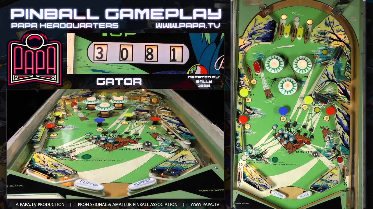Gator Pinball Gameplay