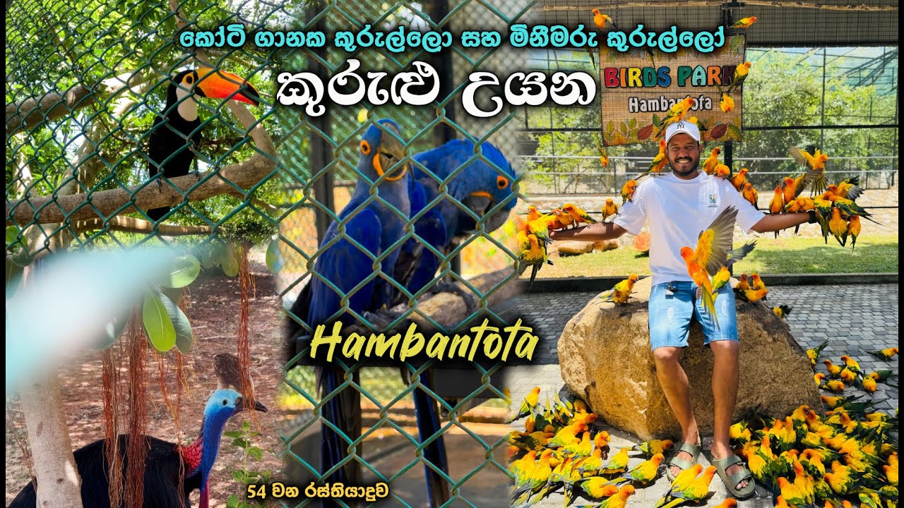 Hambanthota Birds Park | ආසියාවේ විශාලතම කුරුළු උයන | Asia’s Largest Bird Park in Sri Lanka