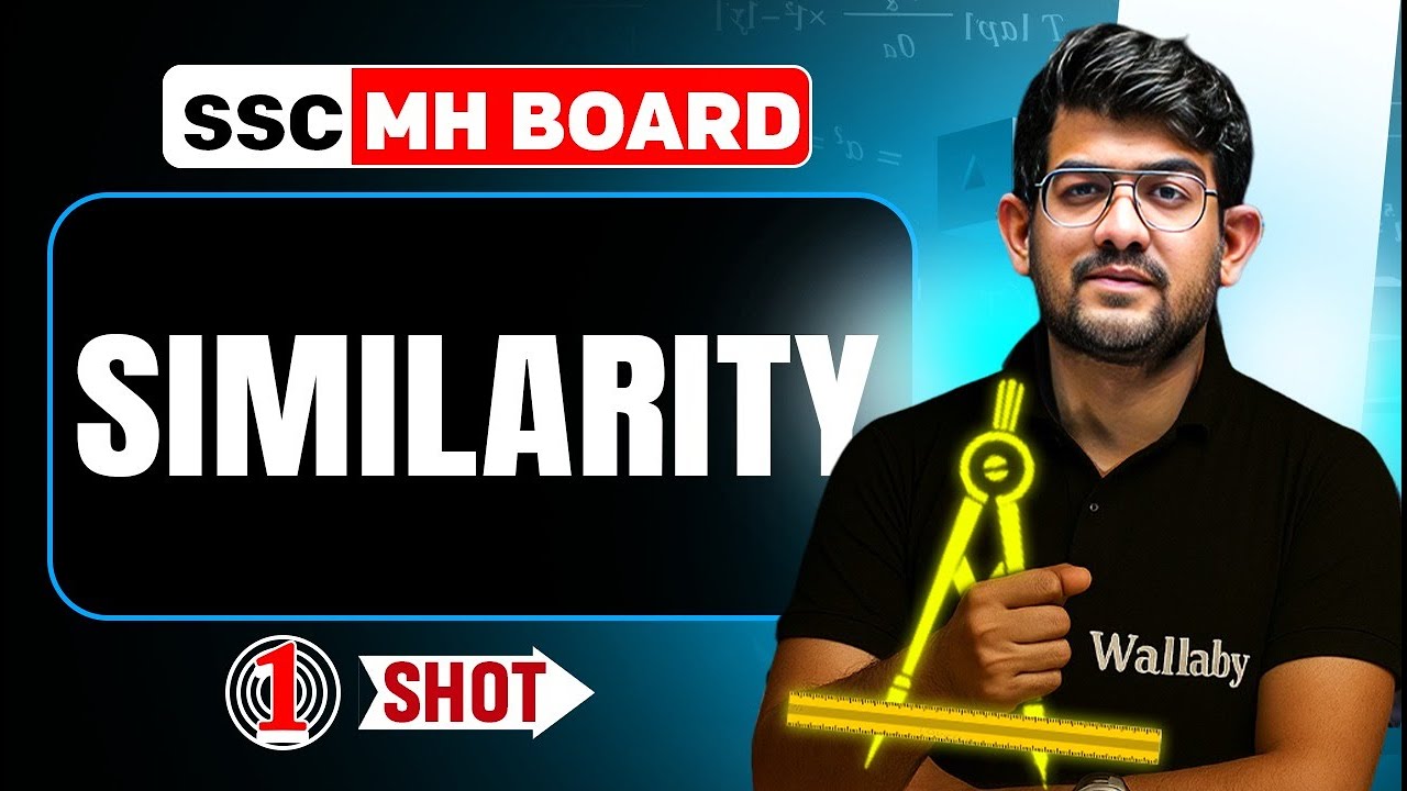 ⚡ Similarity in 1 Shot | Maths | Class 10th Maharashtra Board