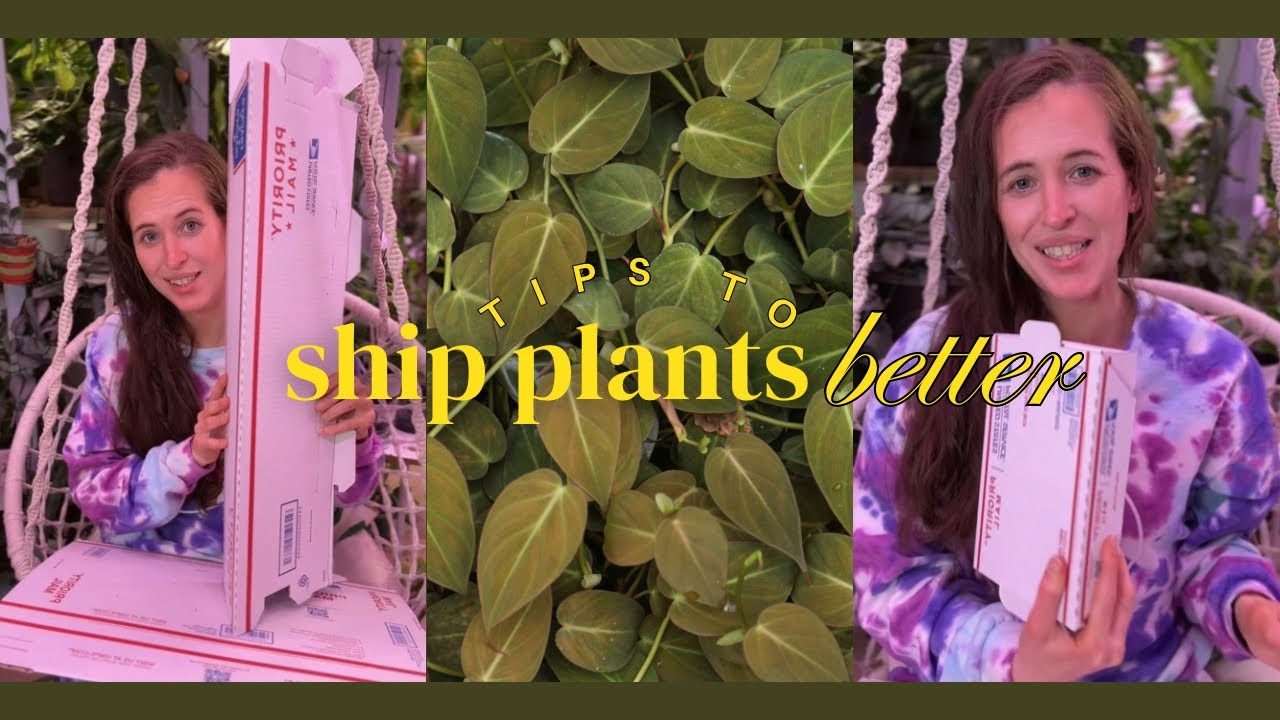 Hacks To Ship Plants Cheaper (And Better)