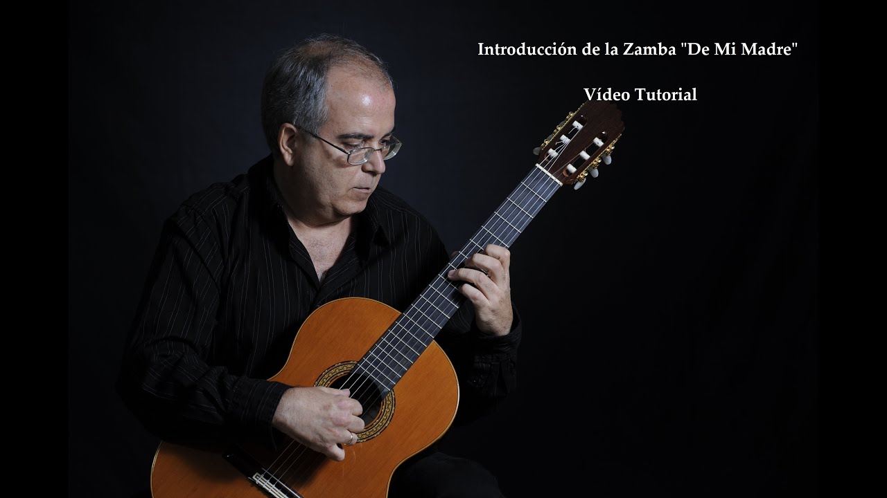 Tutorial Introducción de la zamba 