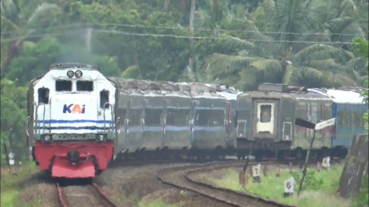 CC 204 03 01 Papasan Dengan Argo Semeru. Kumpulan Kereta Api Lewat Tambak 7 Maret 2026