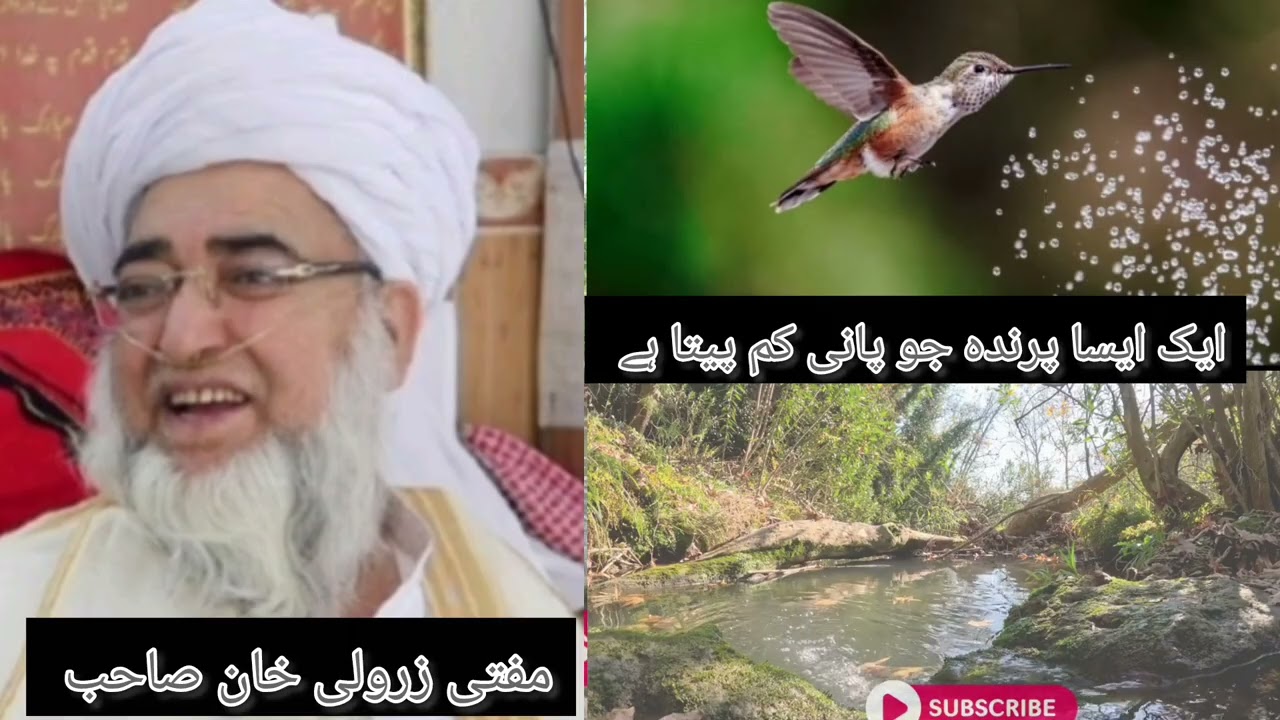 Mufti Zarwali Khan Bayan about Water and Bird