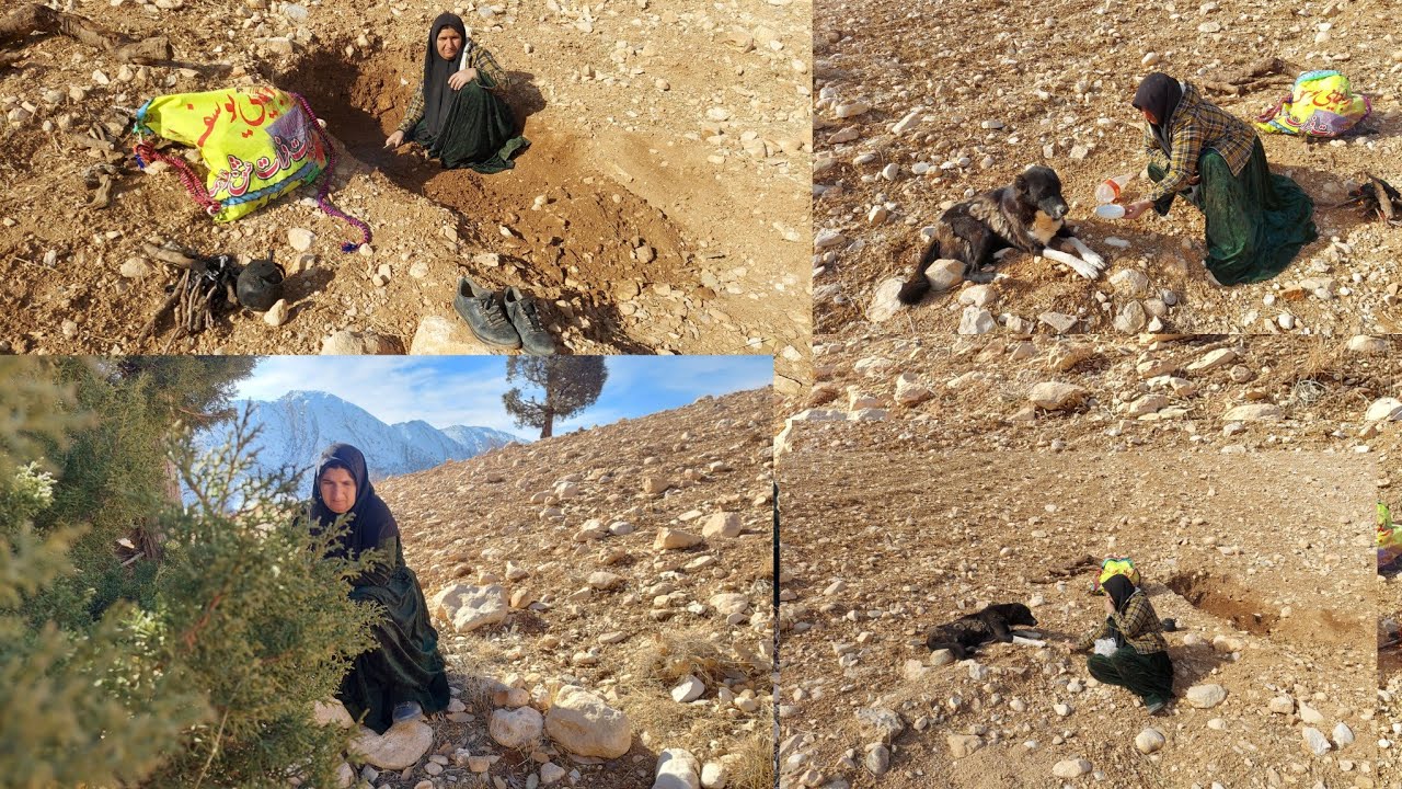 ۵ ژانویهٔ ۲۰۲۶