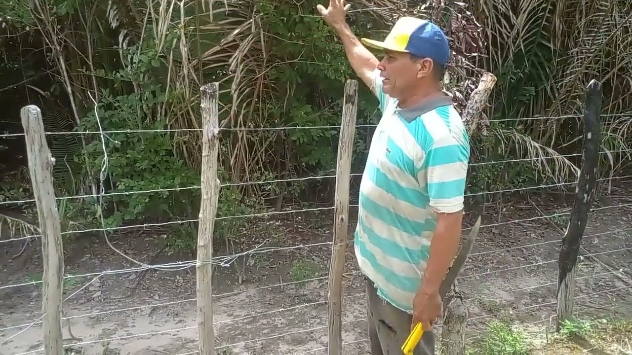 Indo para roça 