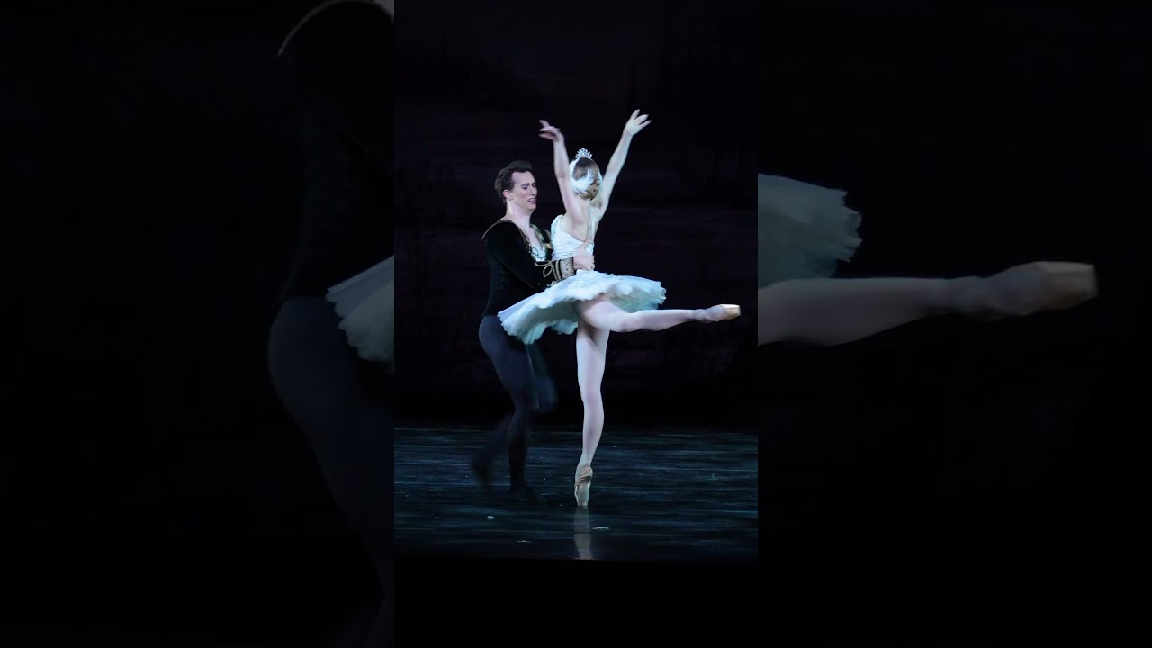 The Heart Wrenching Final Pas De Deux between White Swan (Odette) and Prince Siegfried  #ballet