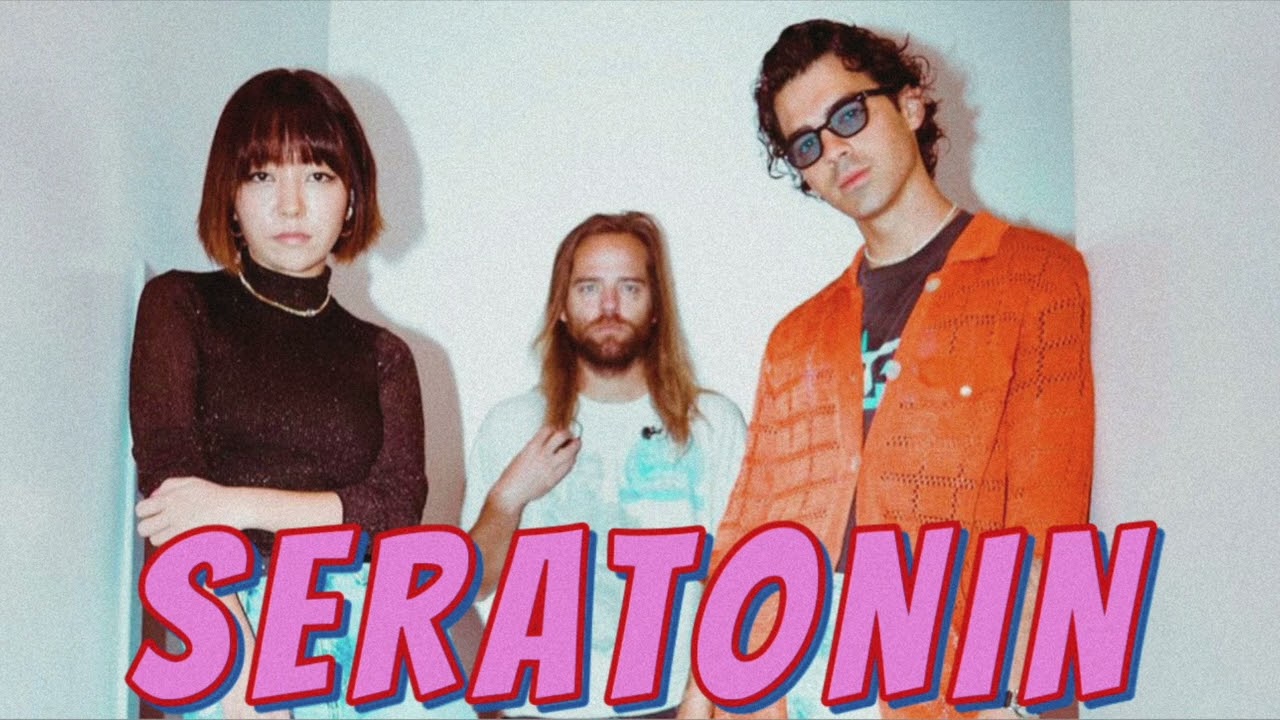 Seratonin - DNCE (Exclusive Unreleased Audio)