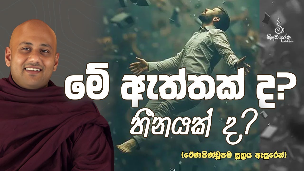 මේ ඇත්තක් ද? හීනයක් ද? - Ven Aluthgamgoda Gnanaweera Thero | නිහඬ අරණ