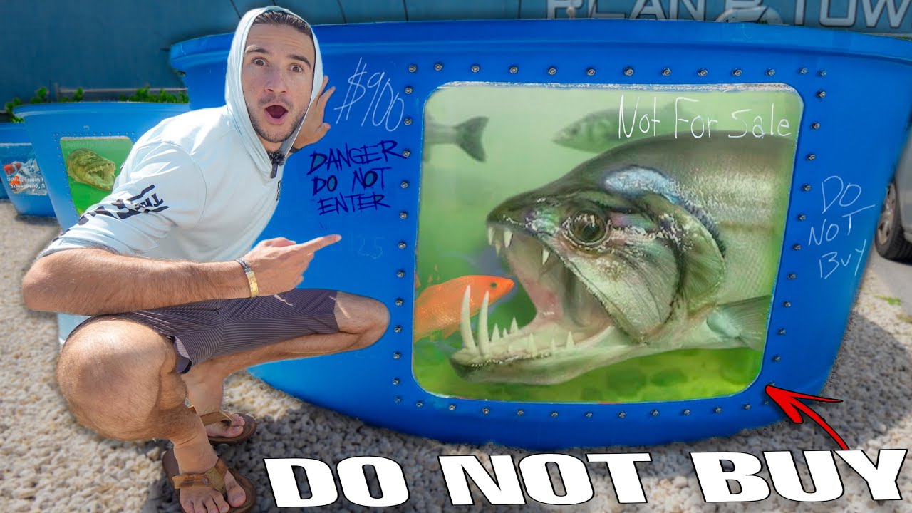 Я наконец-то купил POND MONSTER…