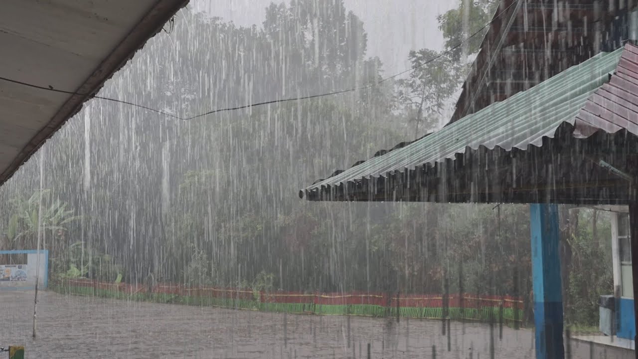 The atmosphere of rain in the countryside is calming, the sound of rain for sleeping and studying