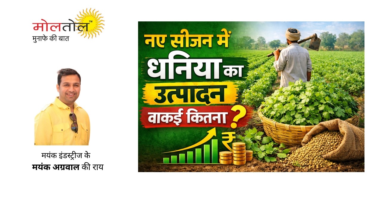 नए सीजन में धनिया का उत्‍पादन वाकई कितना