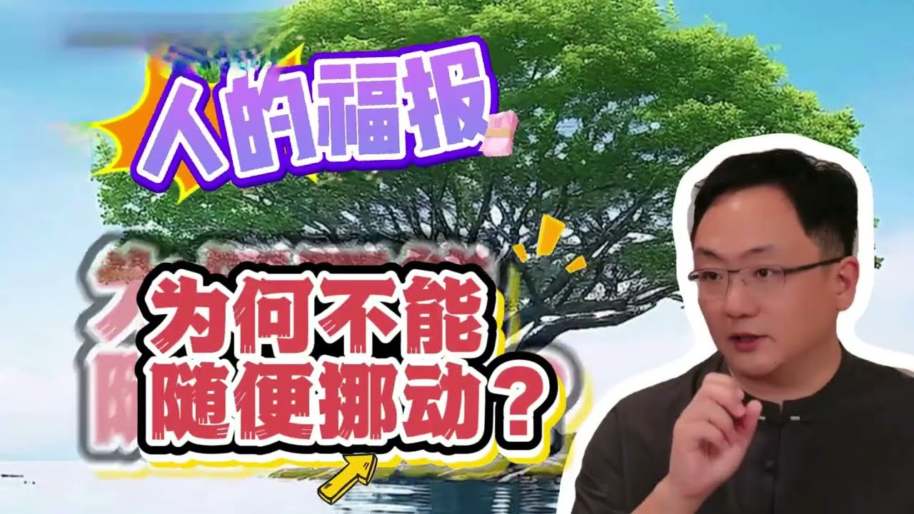 福报可以自己重新分配吗
