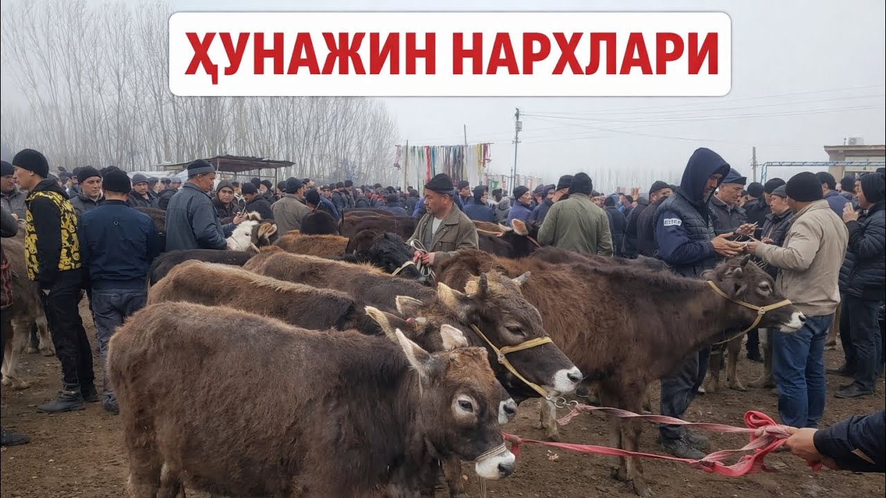 Hunajin narxlari