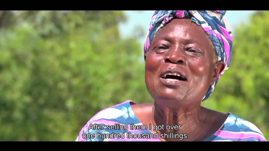 KENYA'S TOP BILLIONAIRES AND MILLIONAIRES WILL BE FARMERS