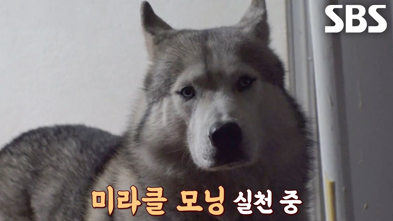 미라클 모닝 실천하는 샤크&times;노을 덕분에 강제 기상!