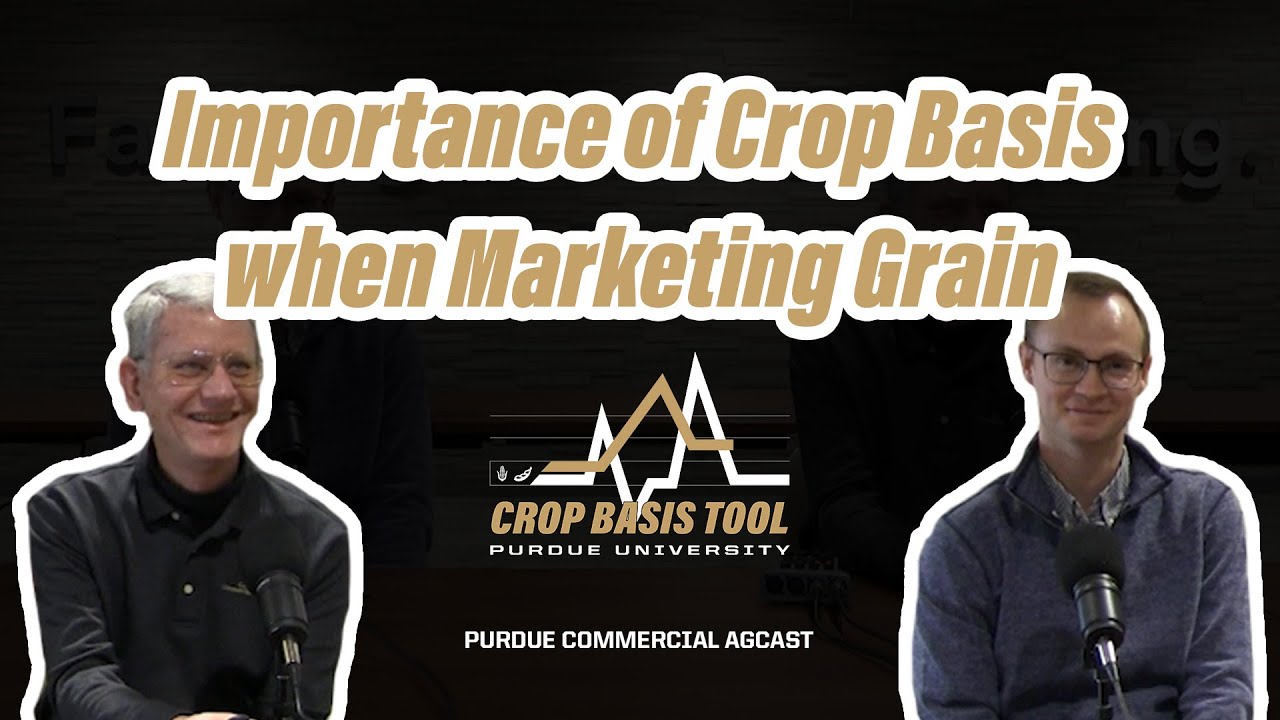 Importance of Crop Basis when Marketing Grain