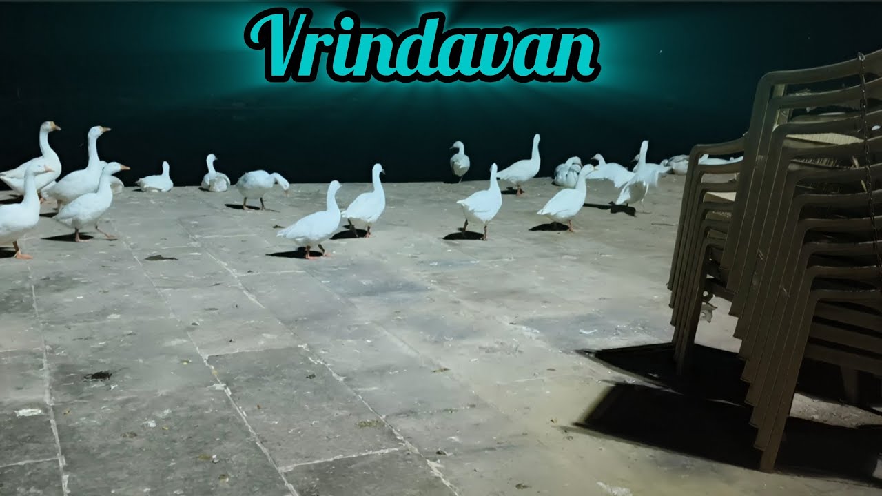 Kai sal pahle ke ghar#😱❤️ Vrindavan #Radha Rani ki parikrama mein#💞