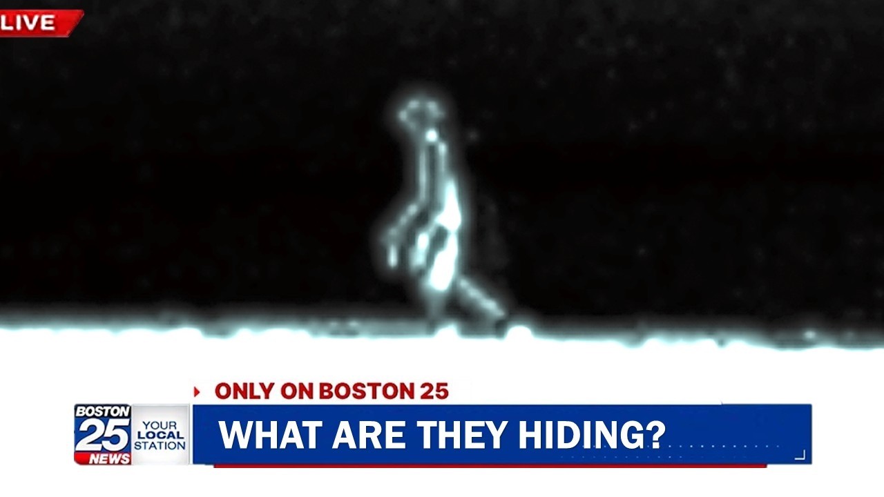 Something Non-Human Was Just Filmed During A Live News Broadcast..