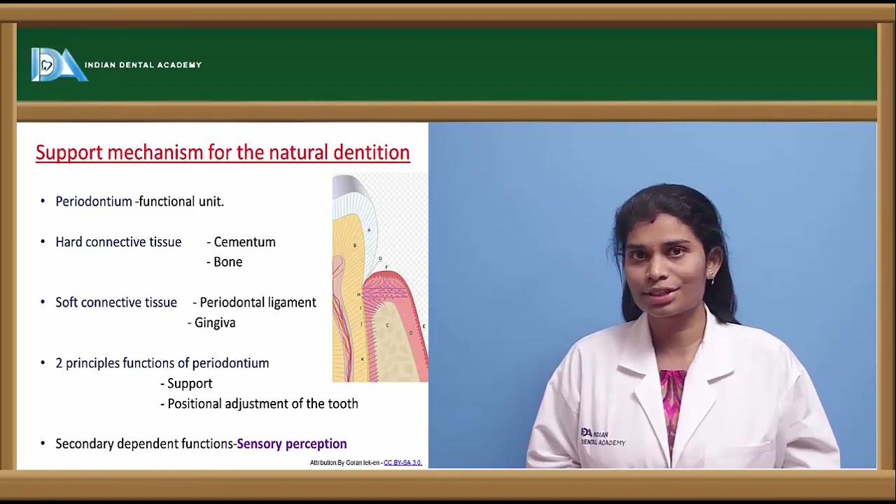 Biomechanics of edentulous state | Prosthodontics | #DDS#MDS#BDS#NBDE#NEET
