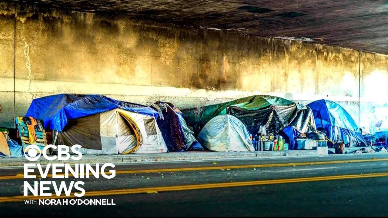 How Los Angeles is working to combat the homelessness crisis