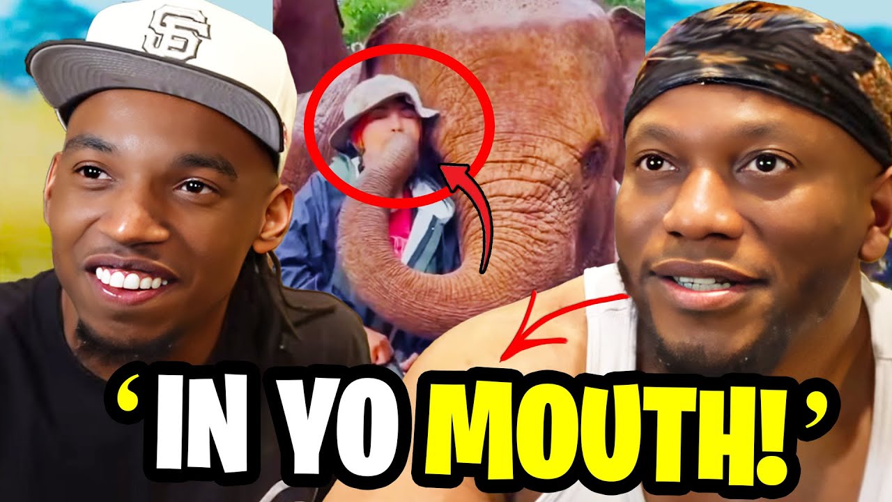 Zias & B Lou React To Craziest Animal Encounters!