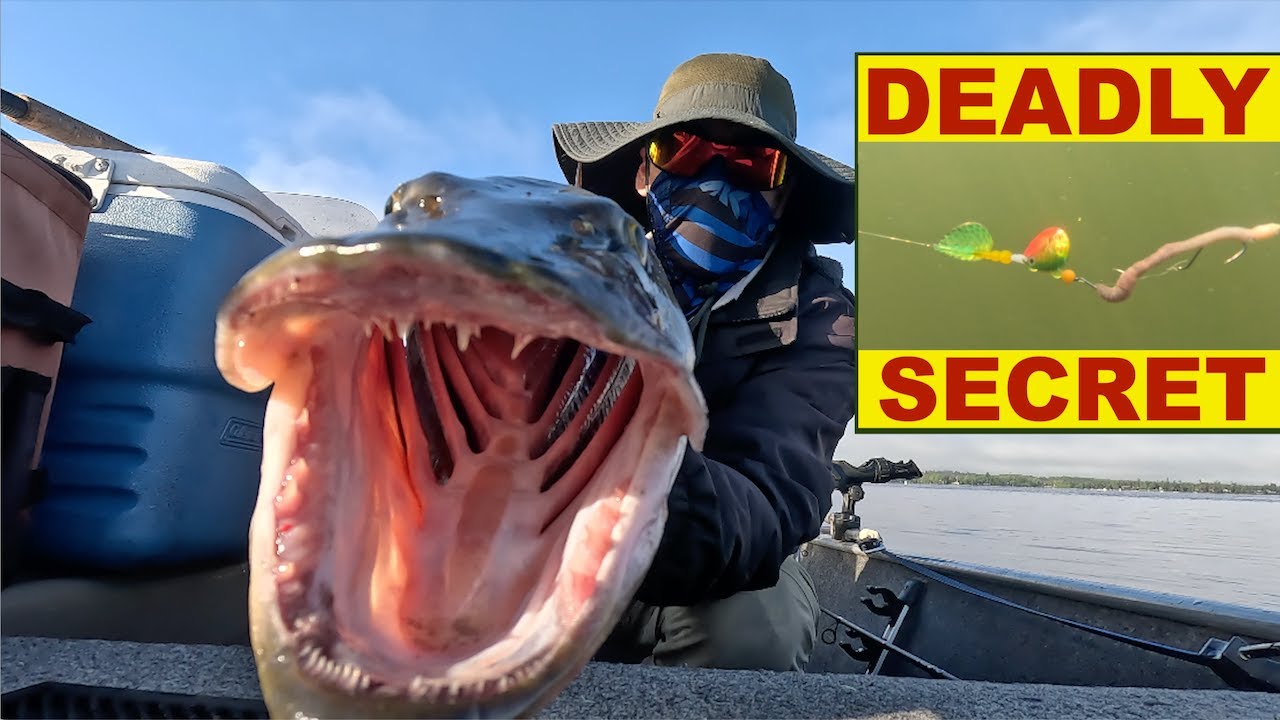 Big Musky & Walleye DESTROY! Reservoir (Spring 