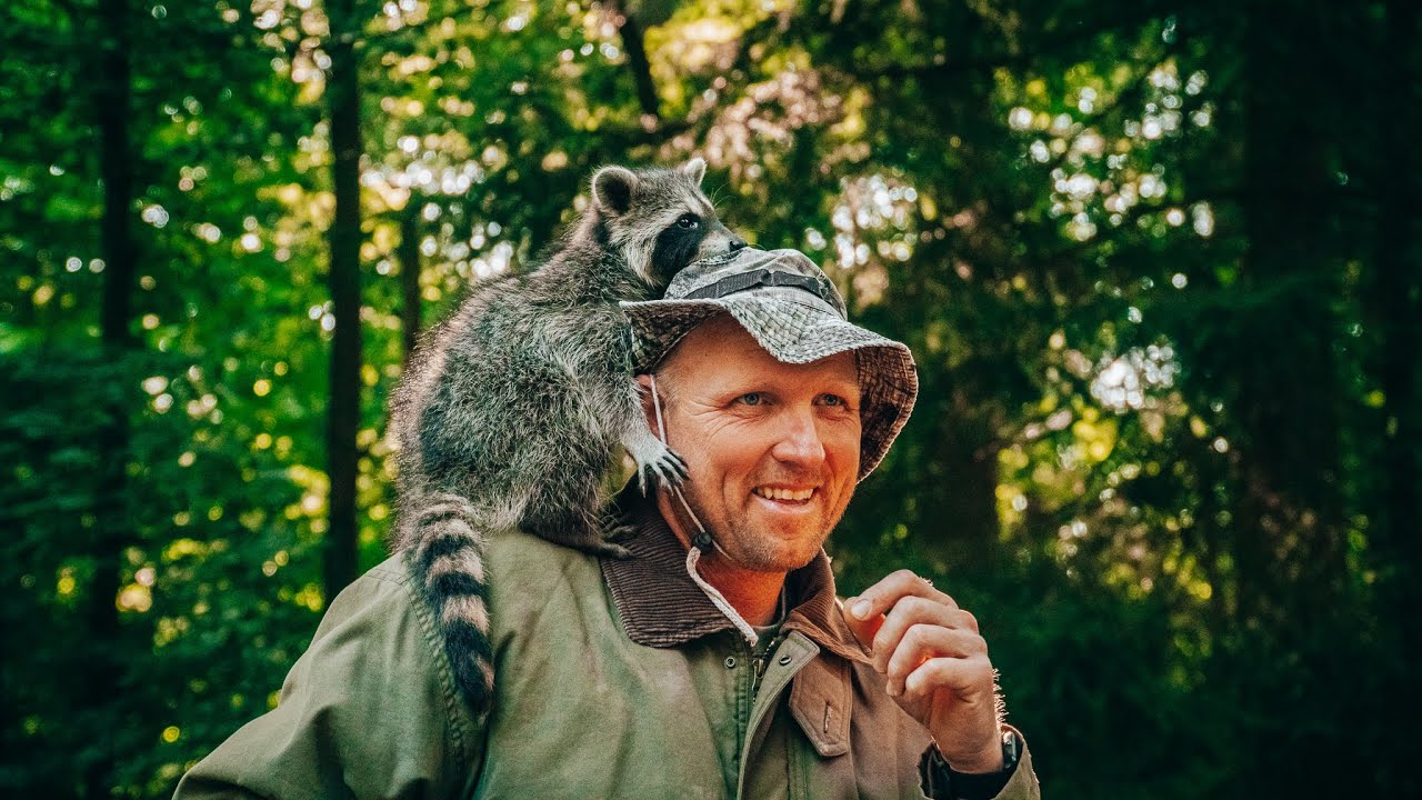 H&Uuml;NFELD: Ein WASCHB&Auml;R als Haustier?