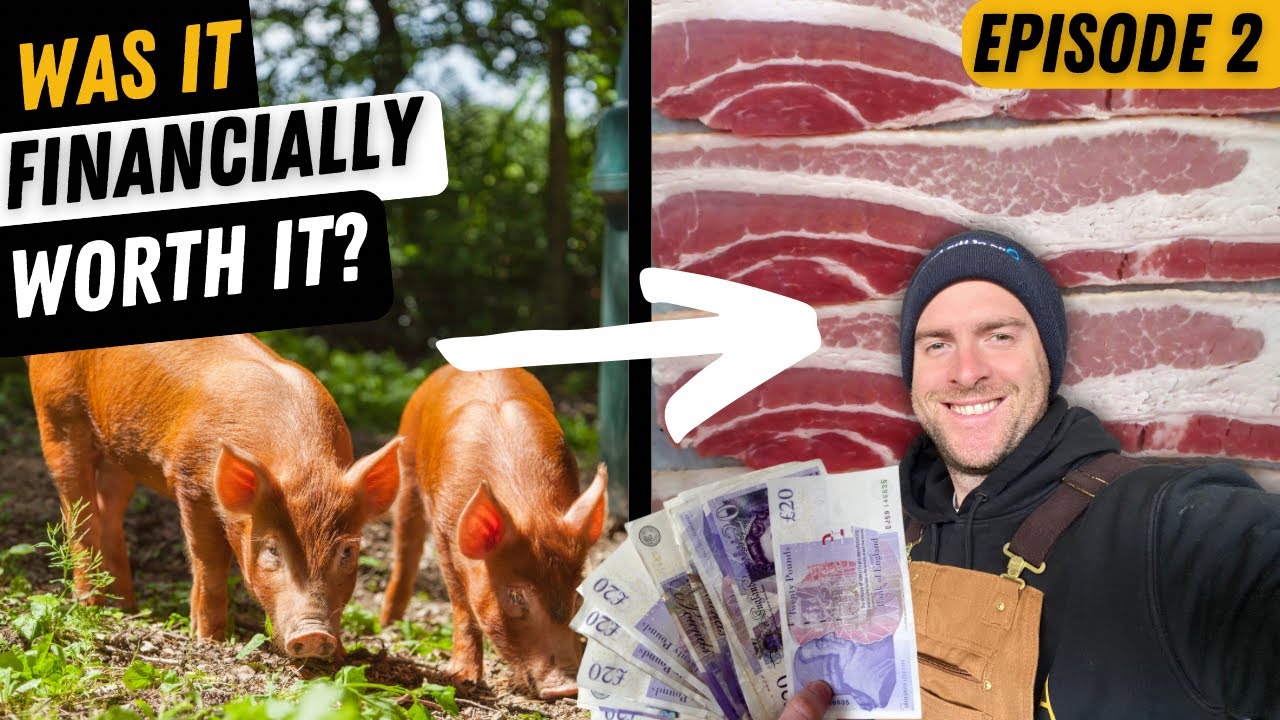 Does Pig Farming Pay On A Small Scale? Turning Pig into Sausages & Bacon!