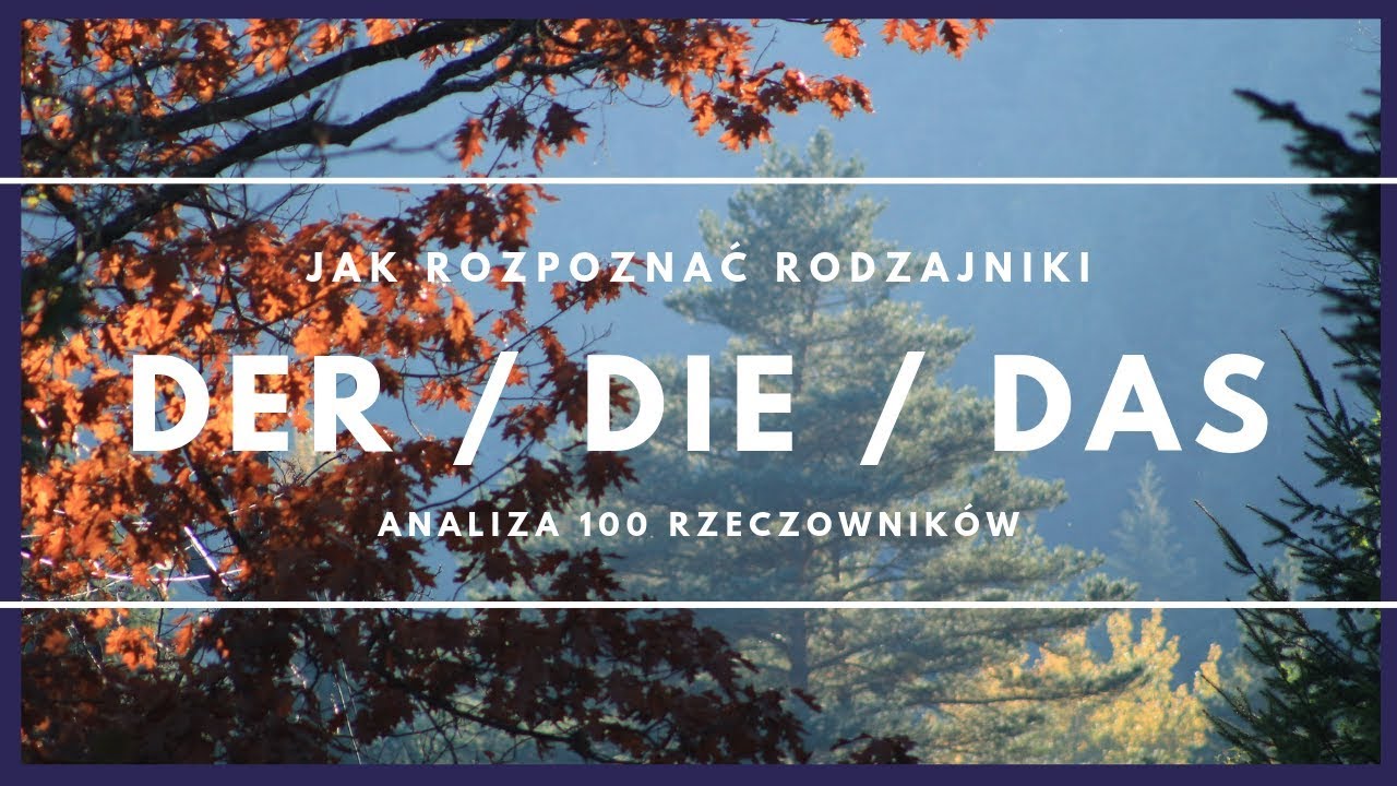 100 rzeczowników. Analiza rodzajnikow DER, DIE czy DAS   (www.martindesimmons.pl)