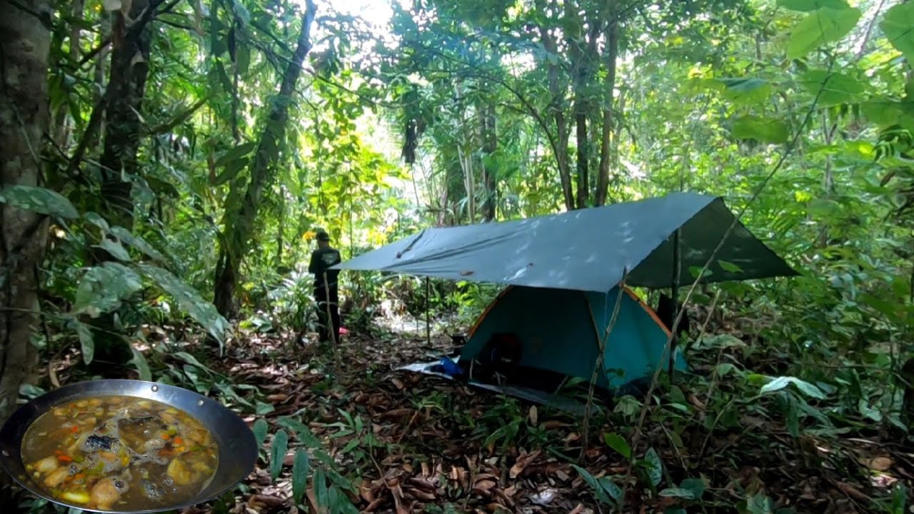 camping di hutan berburu ikan di musim hujan masak gulai asam pedas daging kodok & lele