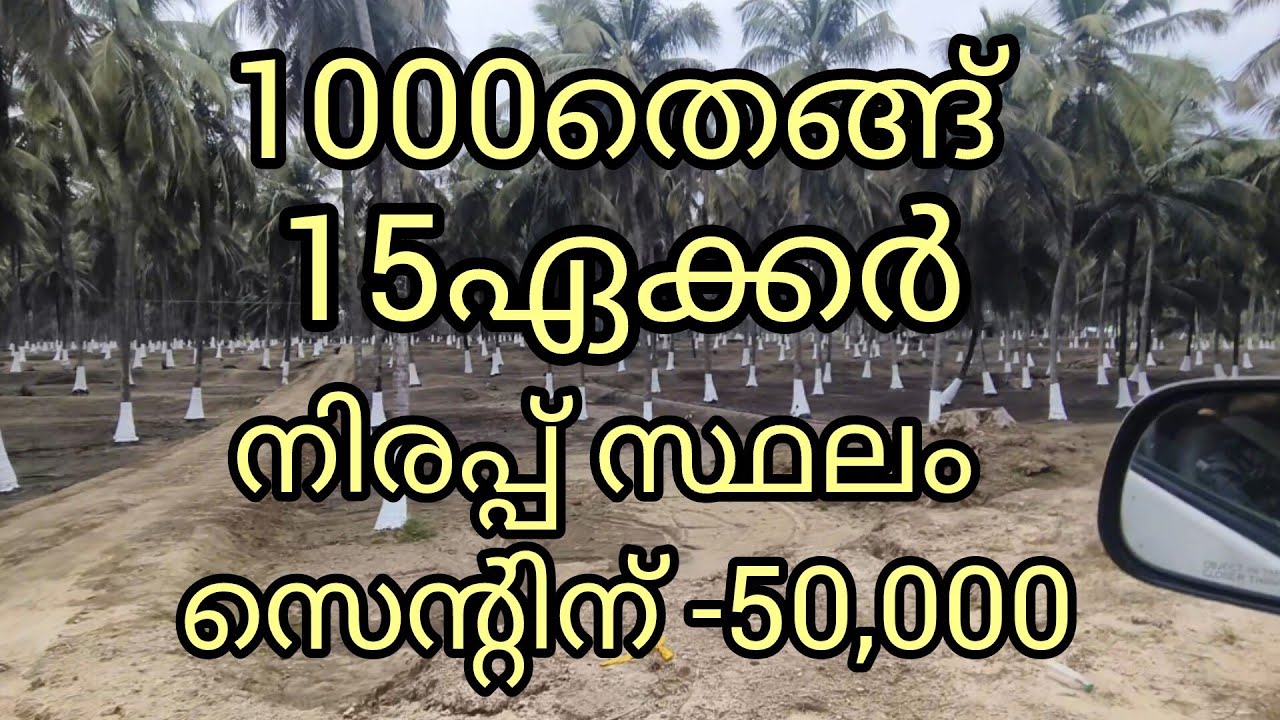 15ഏക്കർ സ്ഥലം 1000തെങ്ങ് സെന്റിന് -50,000.