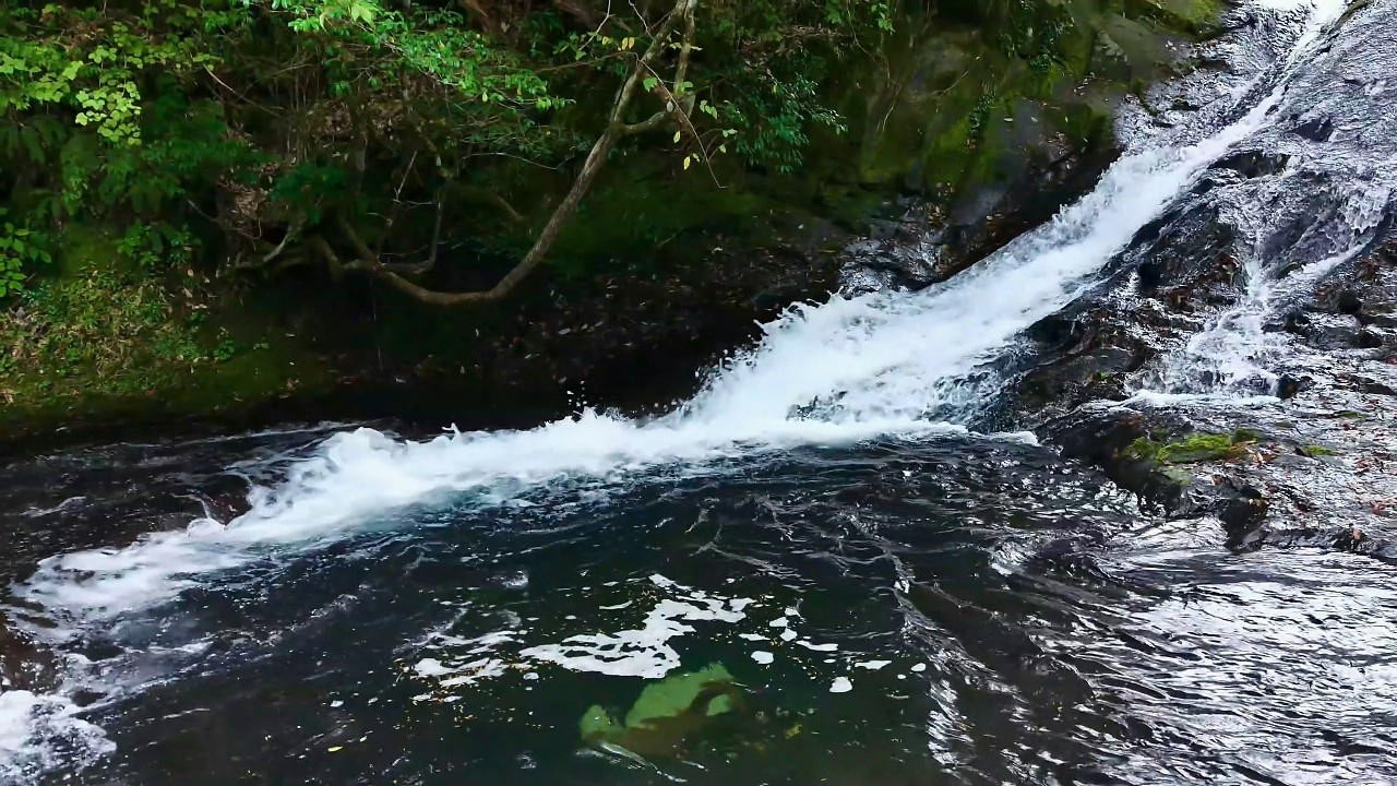 笹野の滝（大分県日田市） Sasano Falls（Oita,Japan）