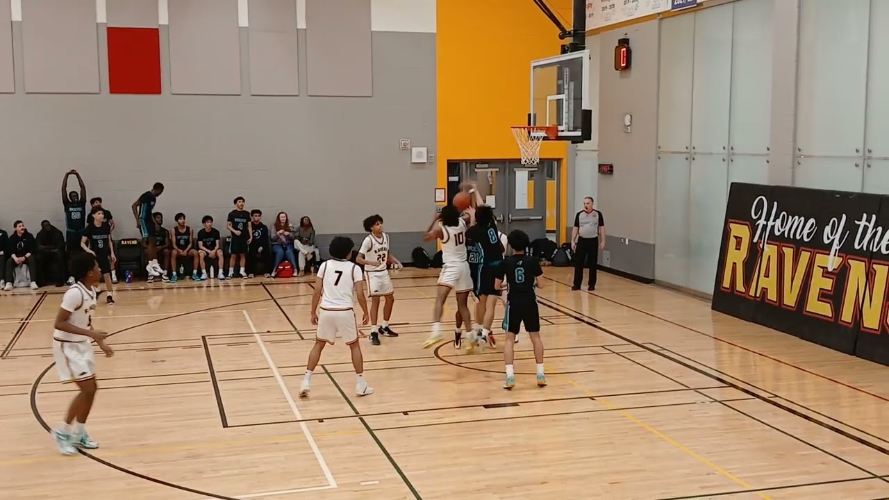TIMBERWOLVES VS RAVENS 