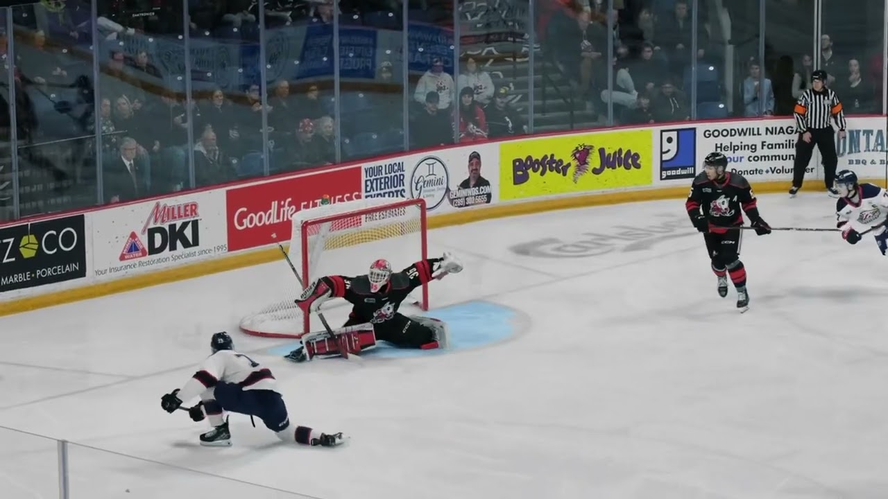 Is Niagara IceDogs REALLY the Best Hockey Team for You?