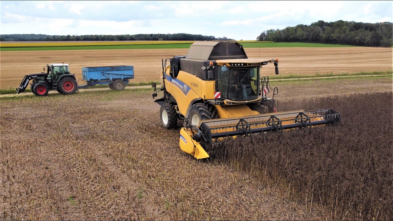 Moisson des féveroles en Lorraine // New Holland CX 7.90
