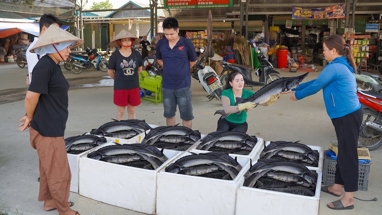 Truck Full of Sturgeon to Market Sell – Then Transporting Construction Materials for Hieu