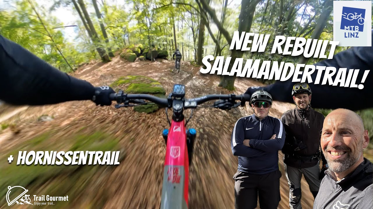 Rebuilt and partly new Salamander Trail +Hornissentrail RAW, MTB Linz Pfenningbergtrails | YT Decoy