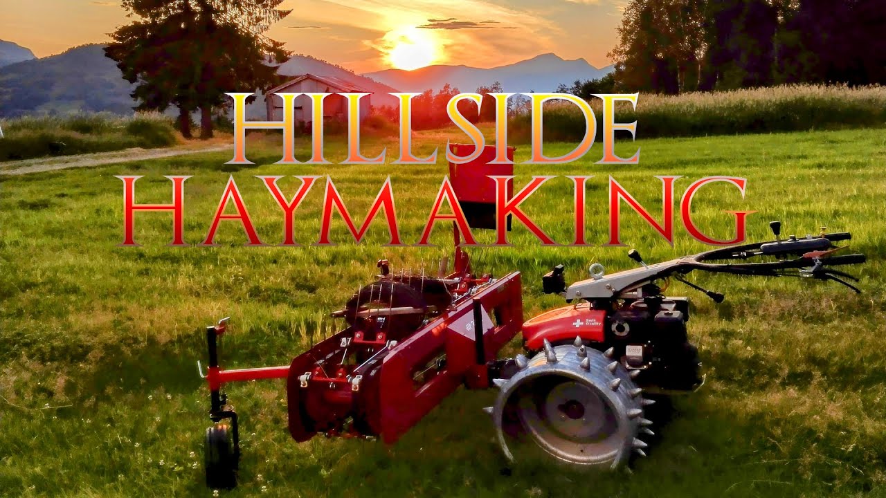 Hillside Haymaking with AEBI CC36, St&ouml;ckl SEM 210 & AEBI K&ouml;ppl Hayrake