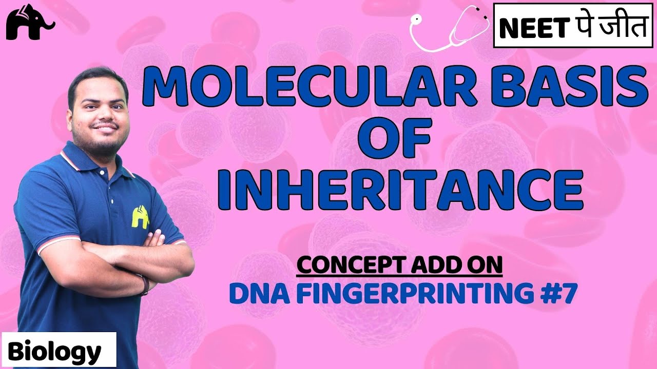 Molecular Basis of Inheritance Class 12 Biology NEET | NCERT Chapter 6 DNA Fingerprinting #7