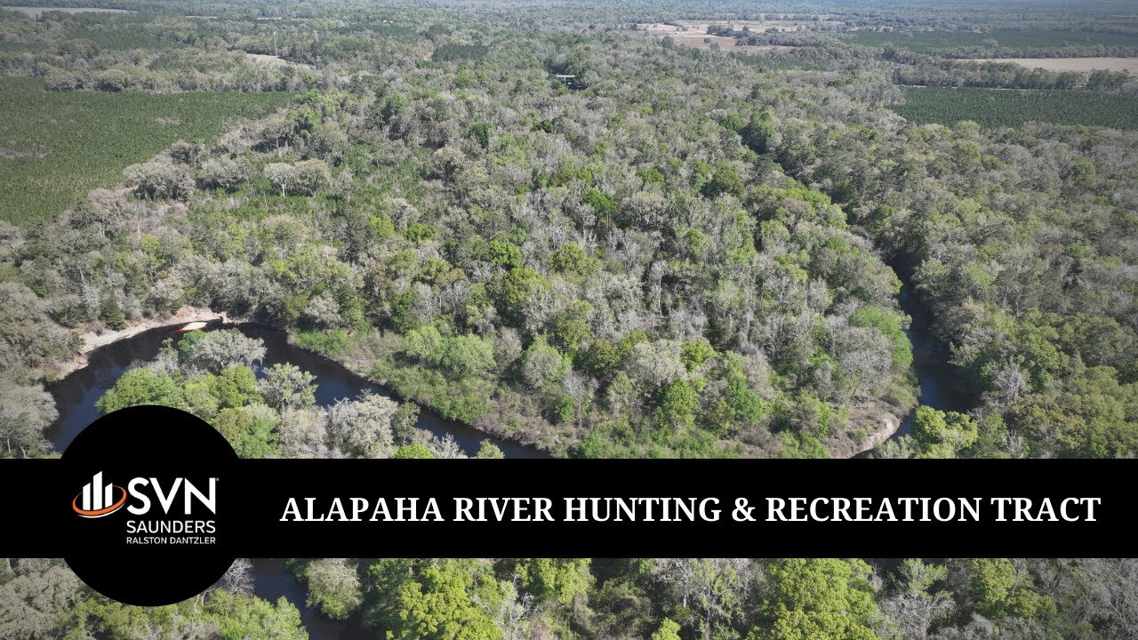 Alapaha River Hunting and Recreation Tract | 197 &plusmn; Acres | Land Investment | FOR SALE | Jasper, FL