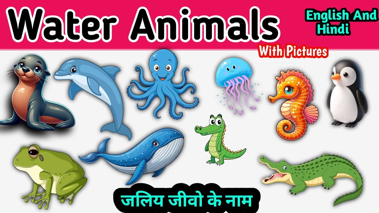 🌊20 Water Animals | Water Animals Name In English And Hindi With Pic, Fact And Videos | 20 जलीय जीव
