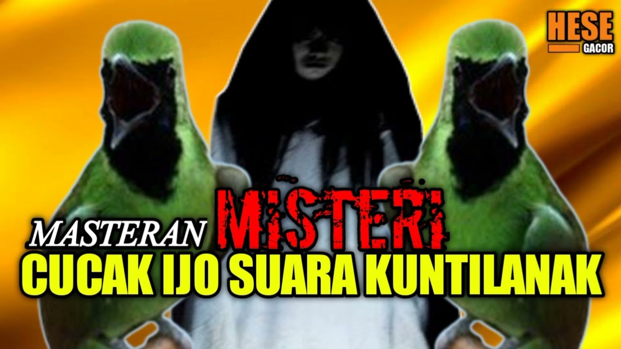 cucak ijo isian kuntilanak
